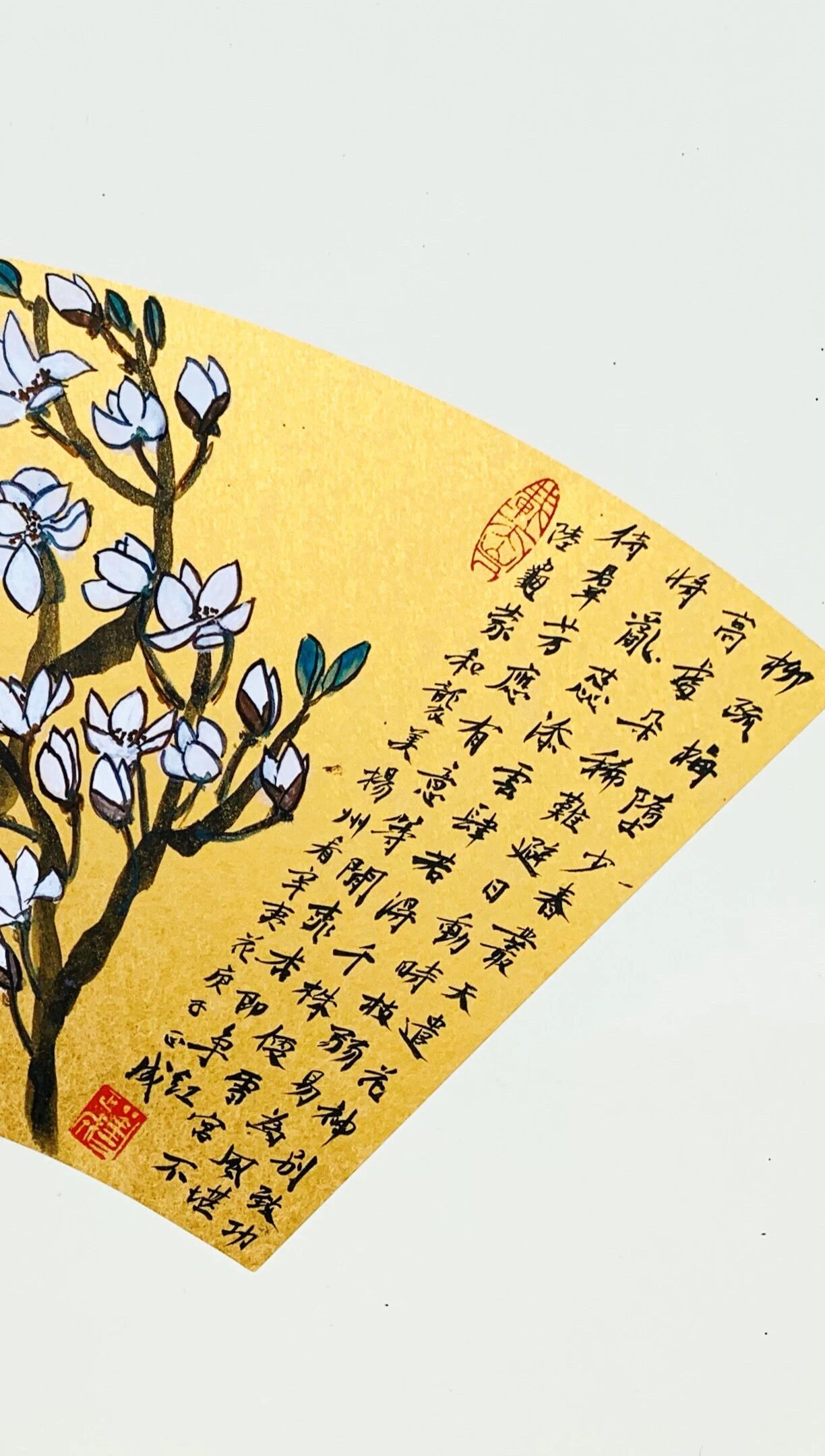 QQ圖片20201116224352.jpg