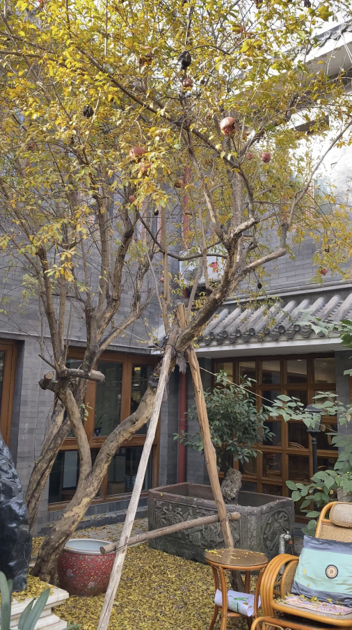 QQ瀏覽器截圖20201211100046.png